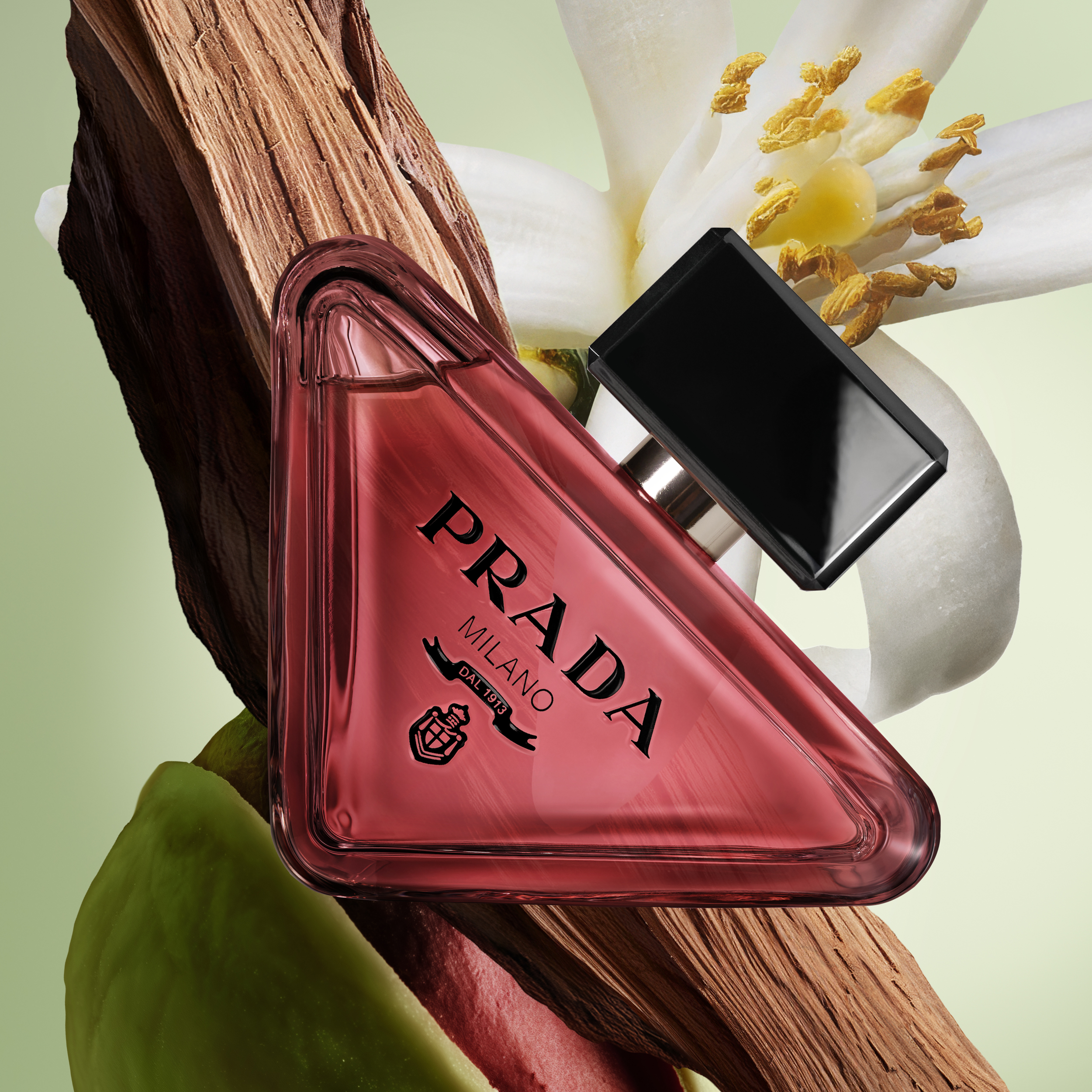 PARADOXE RADICAL ESSENCE PARFUM